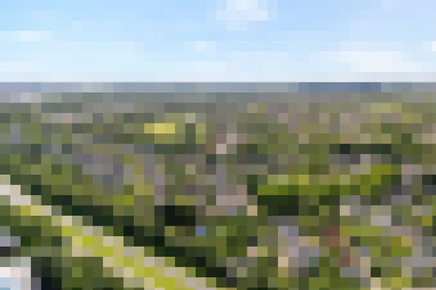 Schellerweg 108 Zwolle thumbnail 53