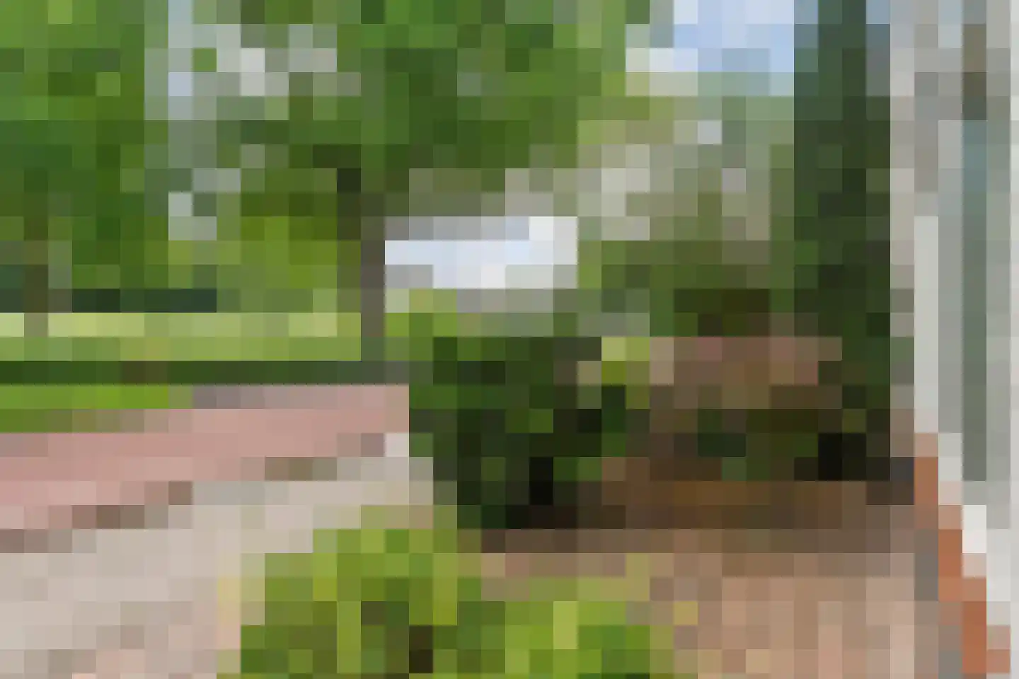 Schellerweg 108 Zwolle thumbnail 6