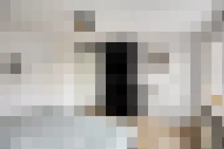 Schellerweg 122 Zwolle thumbnail 20