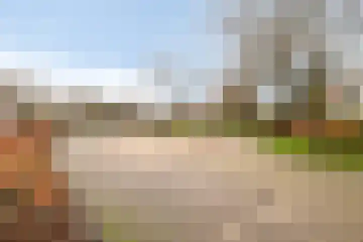 Schellerweg 122 Zwolle thumbnail 30
