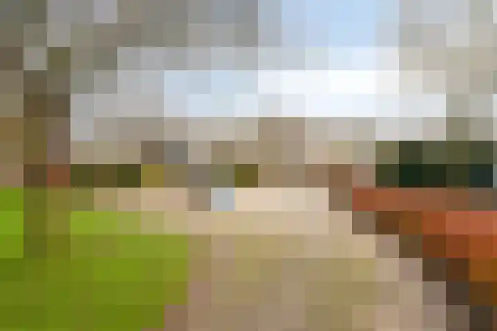 Schellerweg 122 Zwolle thumbnail 31