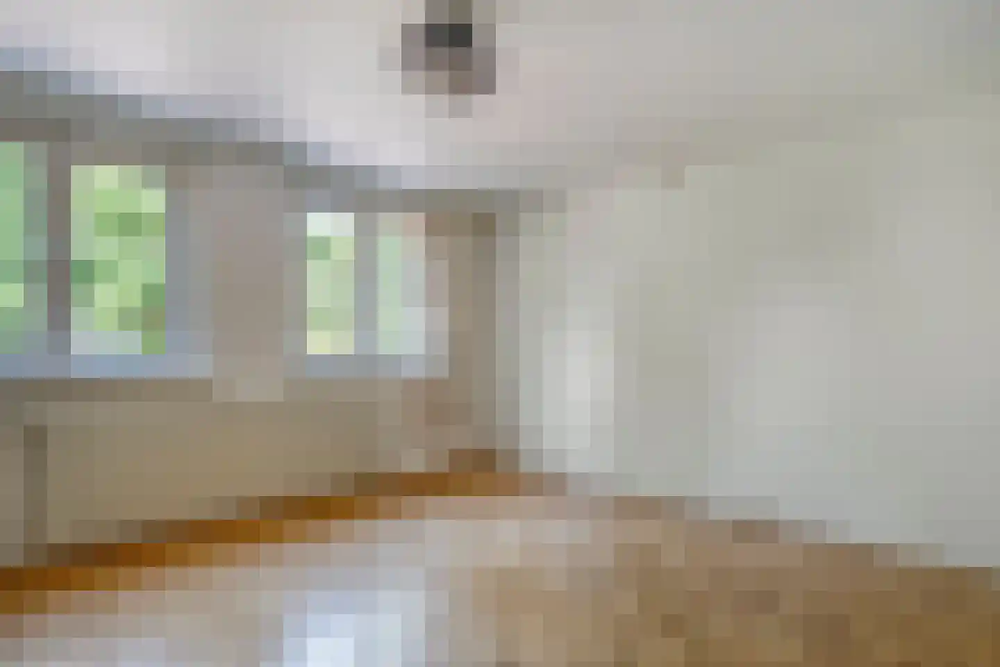 Schellerweg 5 Zwolle thumbnail 19