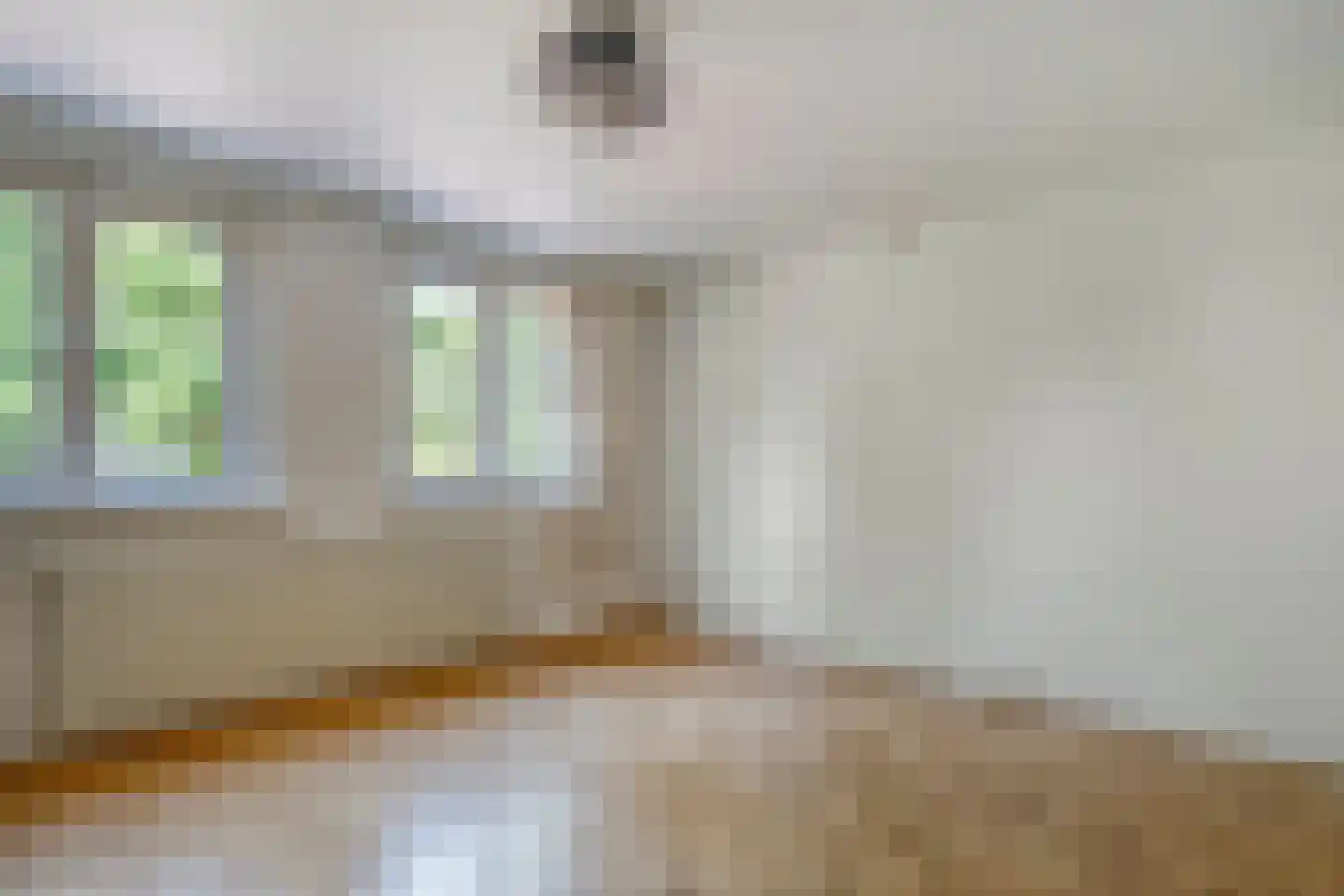 Schellerweg 5 Zwolle thumbnail 19