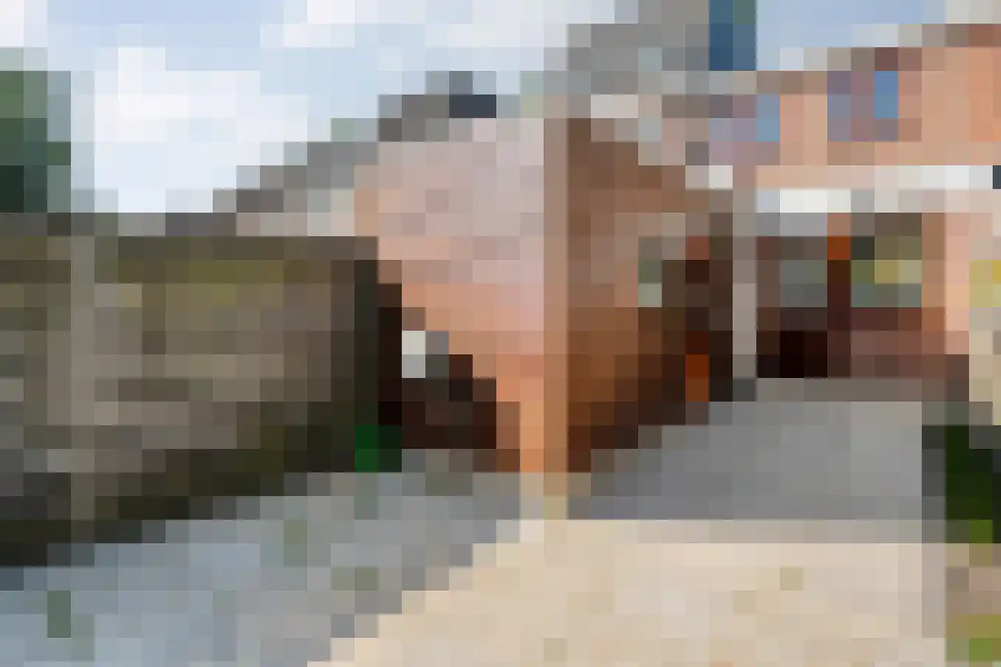 Schellerweg 5 Zwolle thumbnail 26