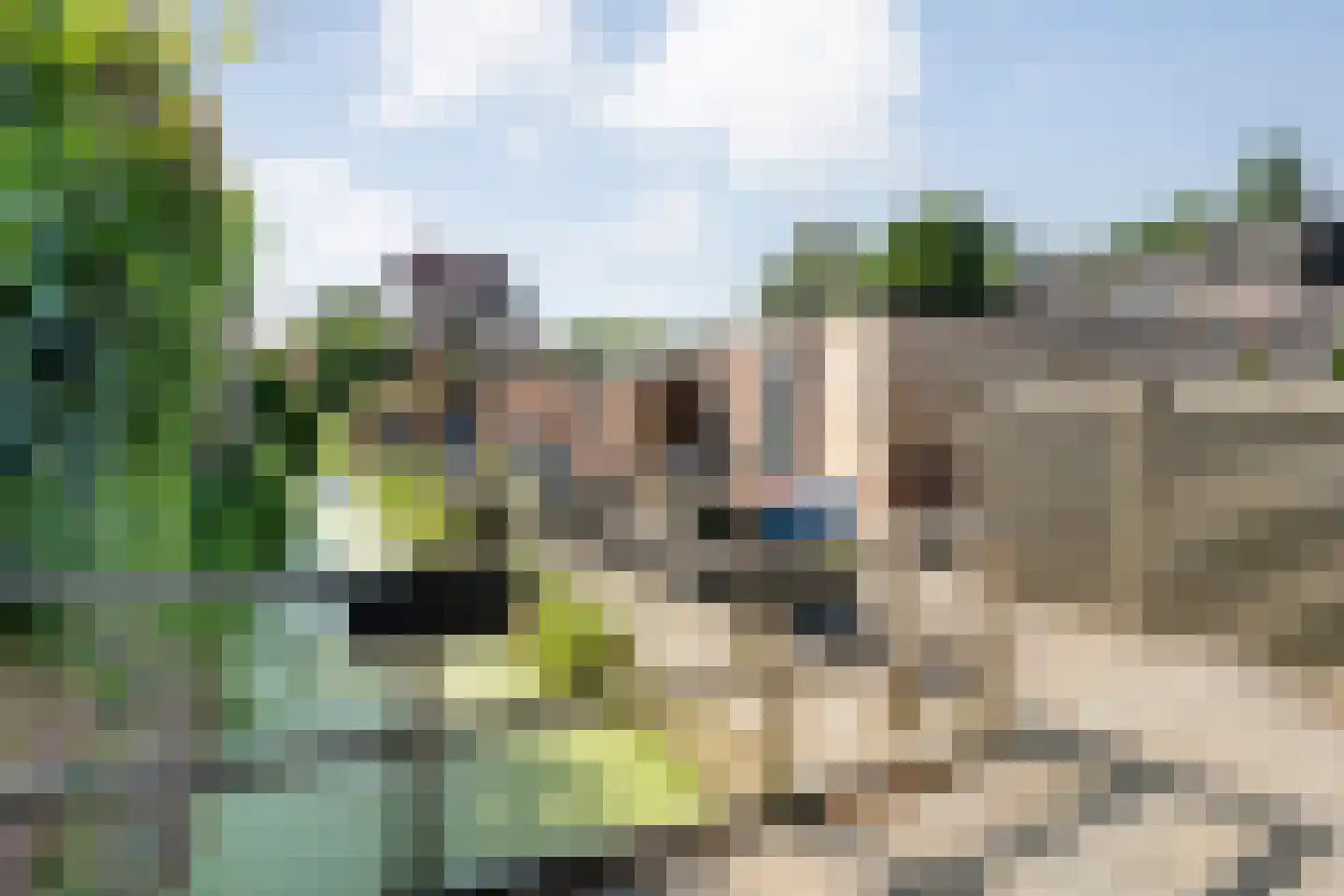 Schellerweg 5 Zwolle thumbnail 30