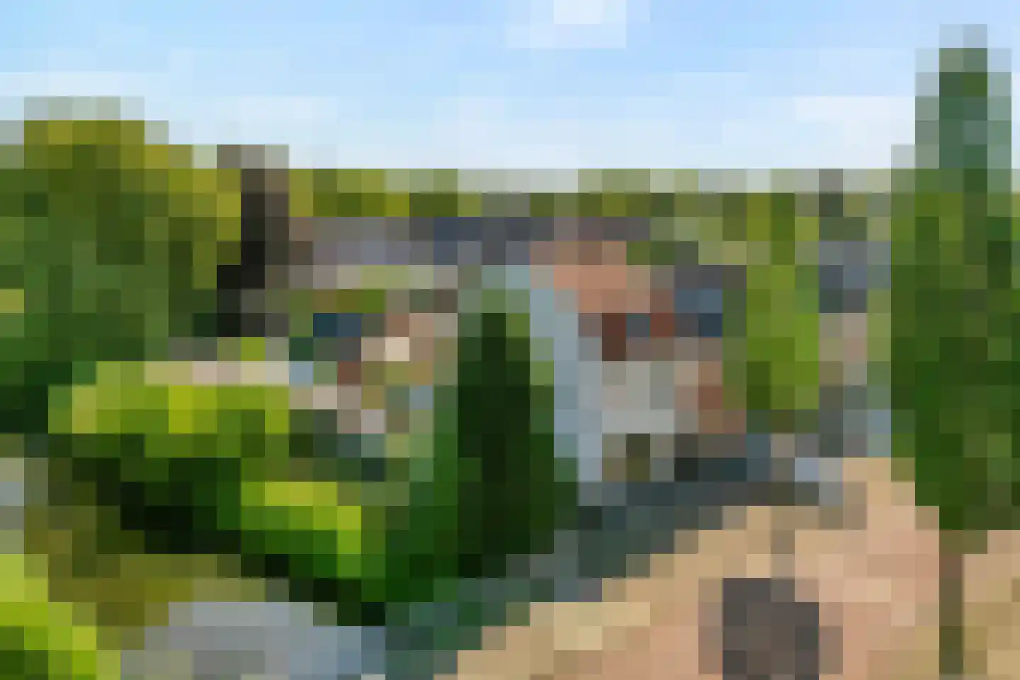 Schellerweg 5 Zwolle thumbnail 37