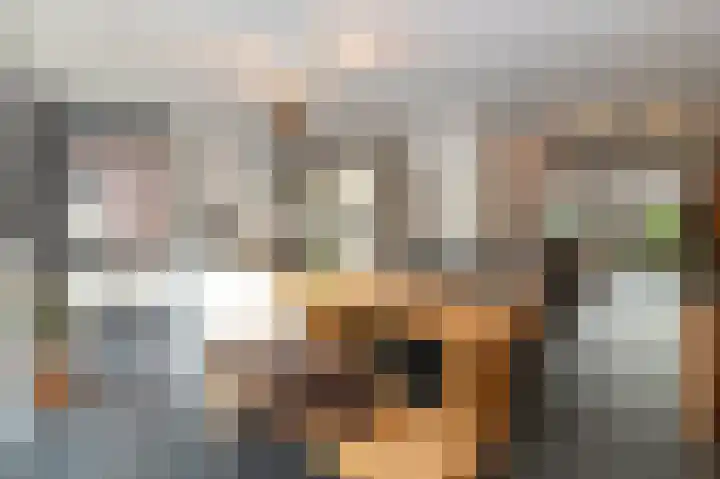 Schelling 10 Uden thumbnail 10