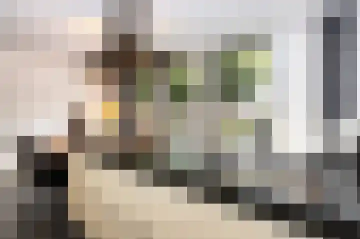 Schelling 10 Uden thumbnail 12