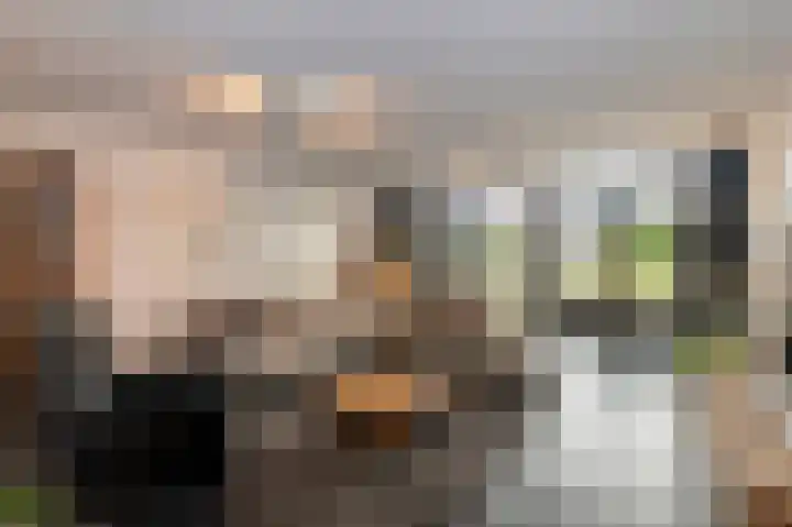 Schelling 10 Uden thumbnail 13