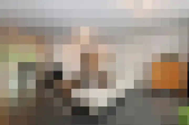 Schelling 10 Uden thumbnail 14
