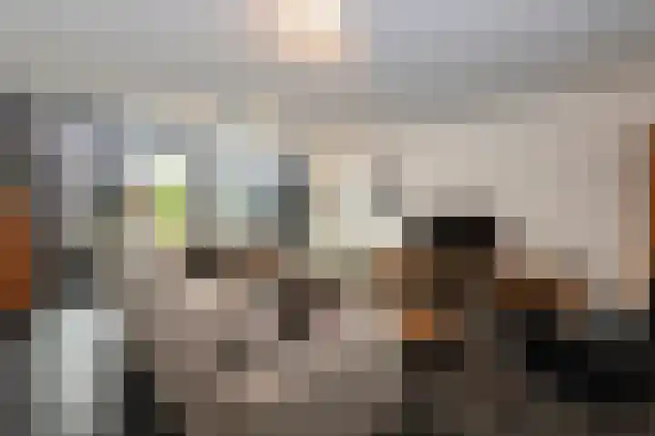 Schelling 10 Uden thumbnail 16