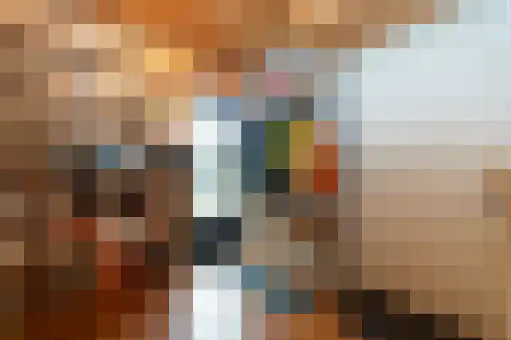 Schelling 10 Uden thumbnail 17