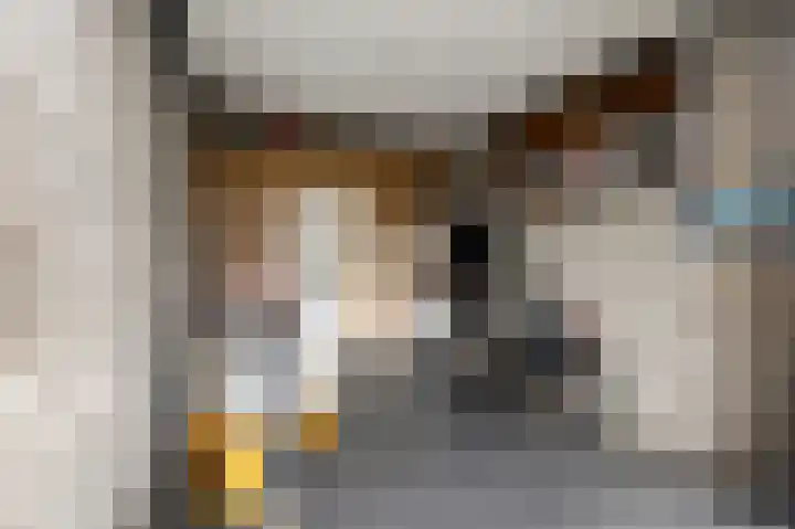 Schelling 10 Uden thumbnail 18