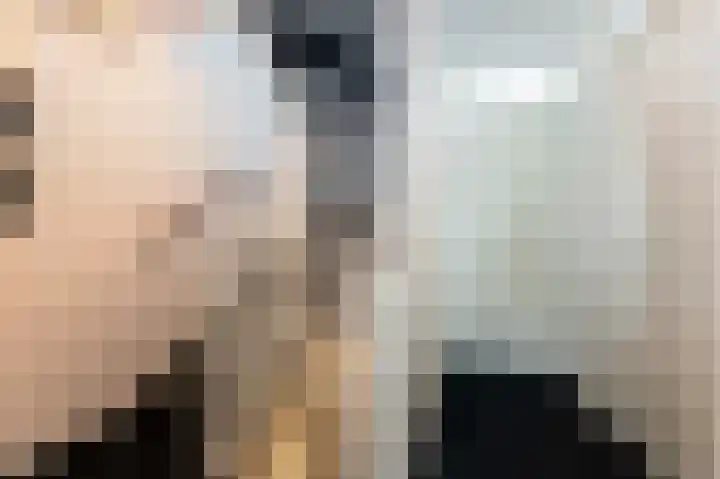Schelling 10 Uden thumbnail 19