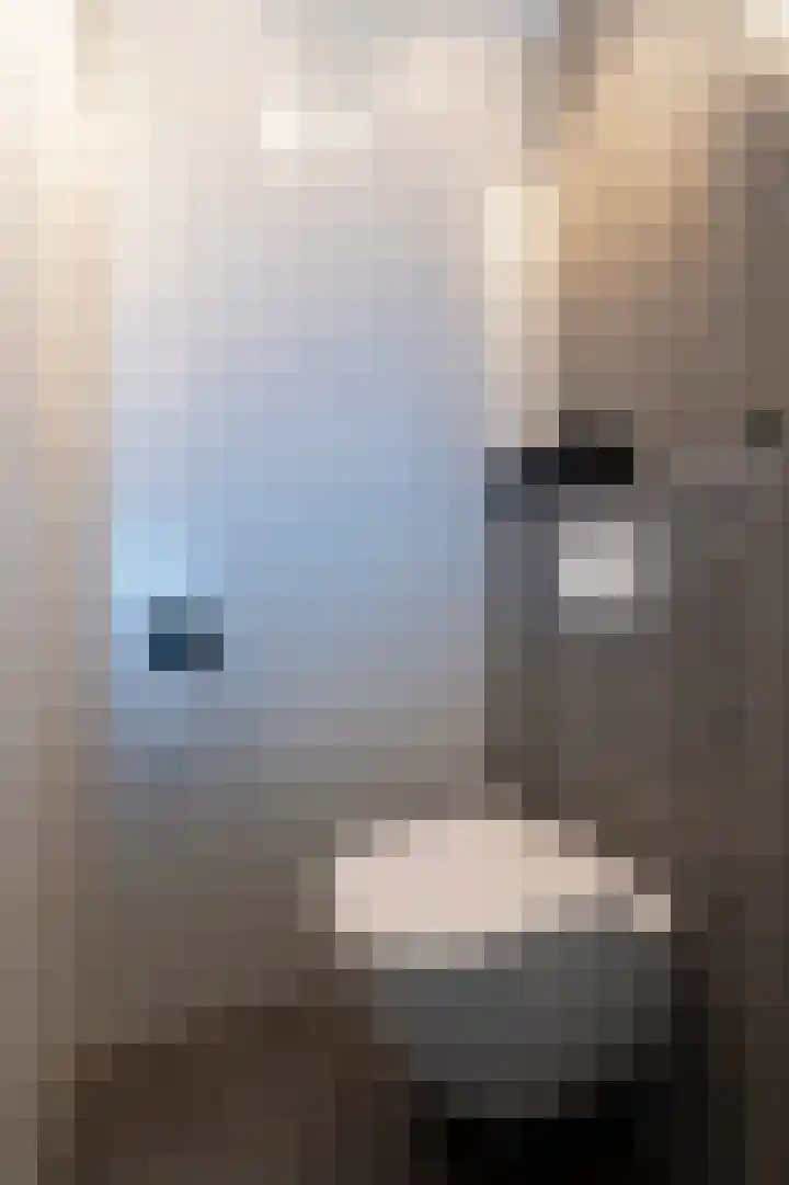 Schelling 10 Uden thumbnail 20