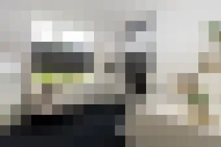 Schelling 10 Uden thumbnail 21