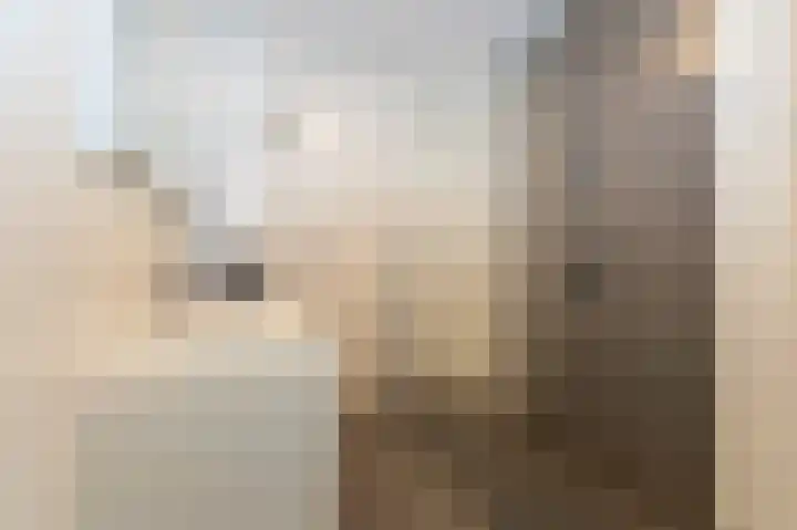 Schelling 10 Uden thumbnail 23