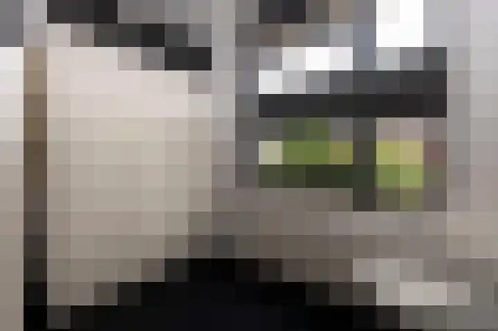 Schelling 10 Uden thumbnail 25