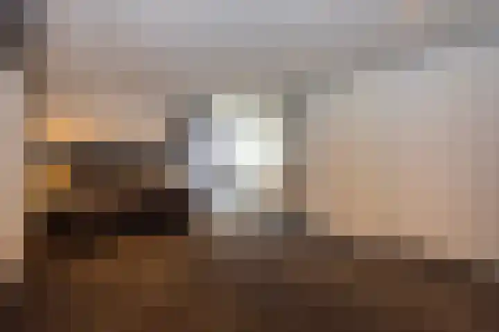 Schelling 10 Uden thumbnail 27