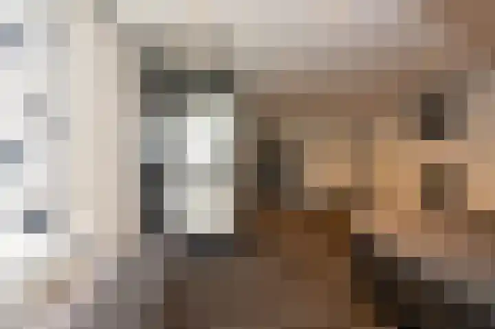 Schelling 10 Uden thumbnail 28