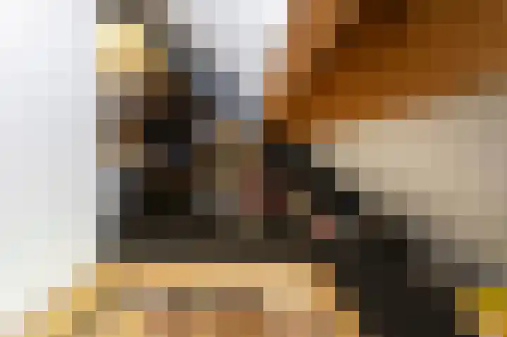 Schelling 10 Uden thumbnail 30