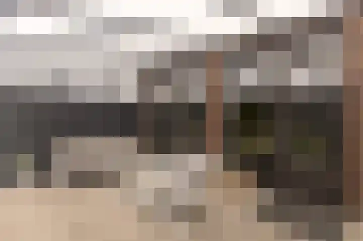 Schelling 10 Uden thumbnail 37
