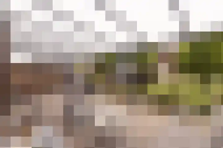 Schelling 10 Uden thumbnail 38