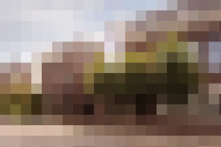 Schelling 10 Uden thumbnail 4