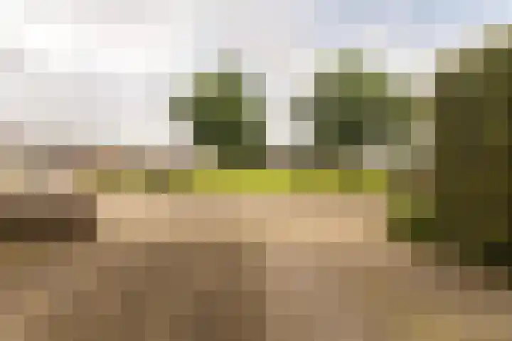 Schelling 10 Uden thumbnail 7