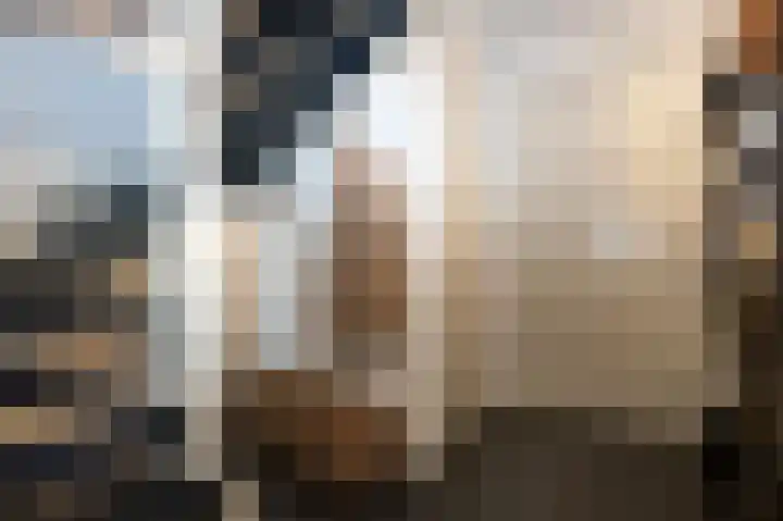 Schelling 10 Uden thumbnail 8