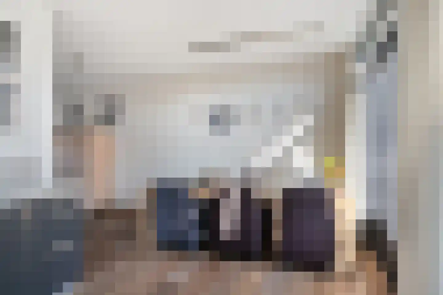 Schelling 12 Uden thumbnail 12