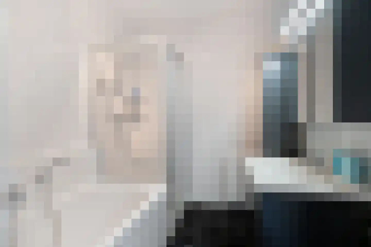 Schelling 12 Uden thumbnail 25