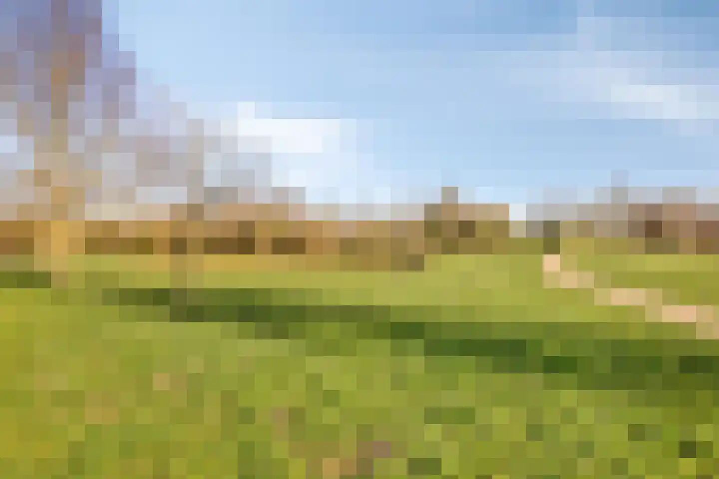 Schelling 12 Uden thumbnail 46