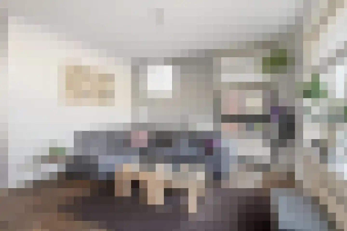 Schelling 12 Uden thumbnail 7