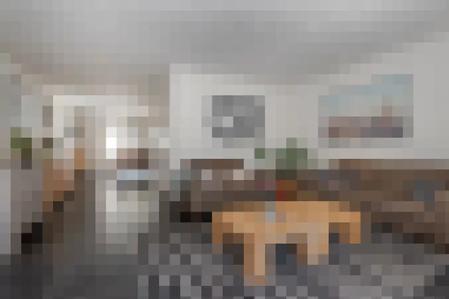 Schelling 15 Uden thumbnail 12