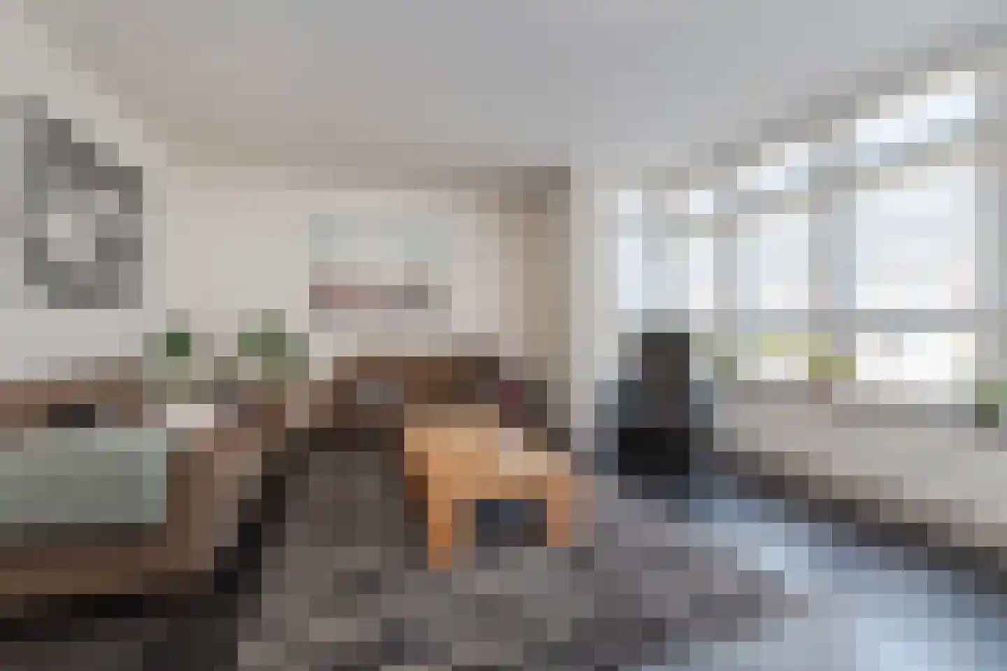 Schelling 15 Uden thumbnail 13