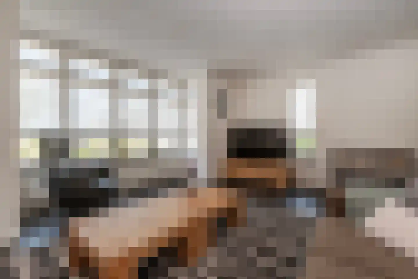 Schelling 15 Uden thumbnail 14