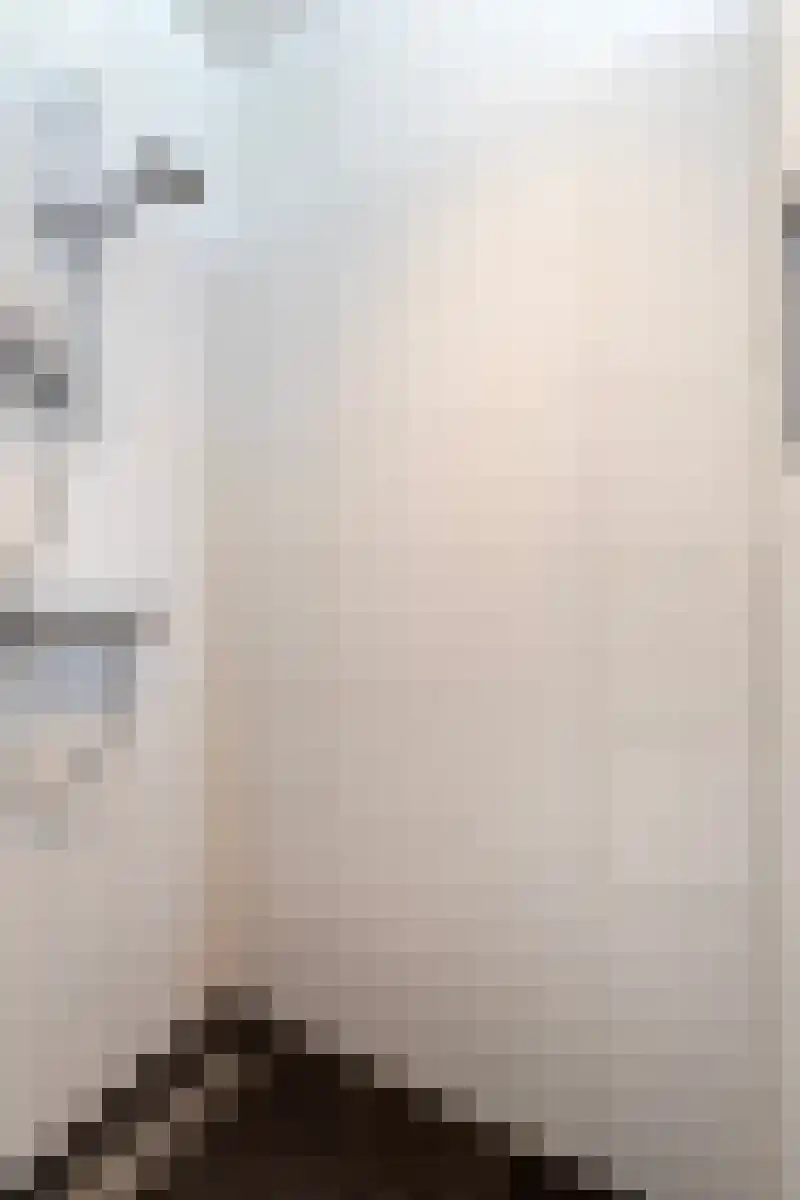Schelling 15 Uden thumbnail 22