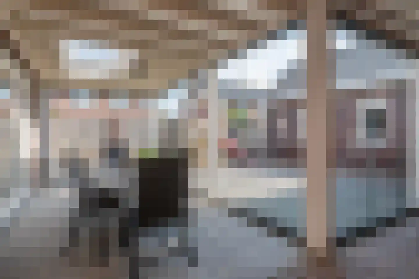 Schelling 15 Uden thumbnail 28