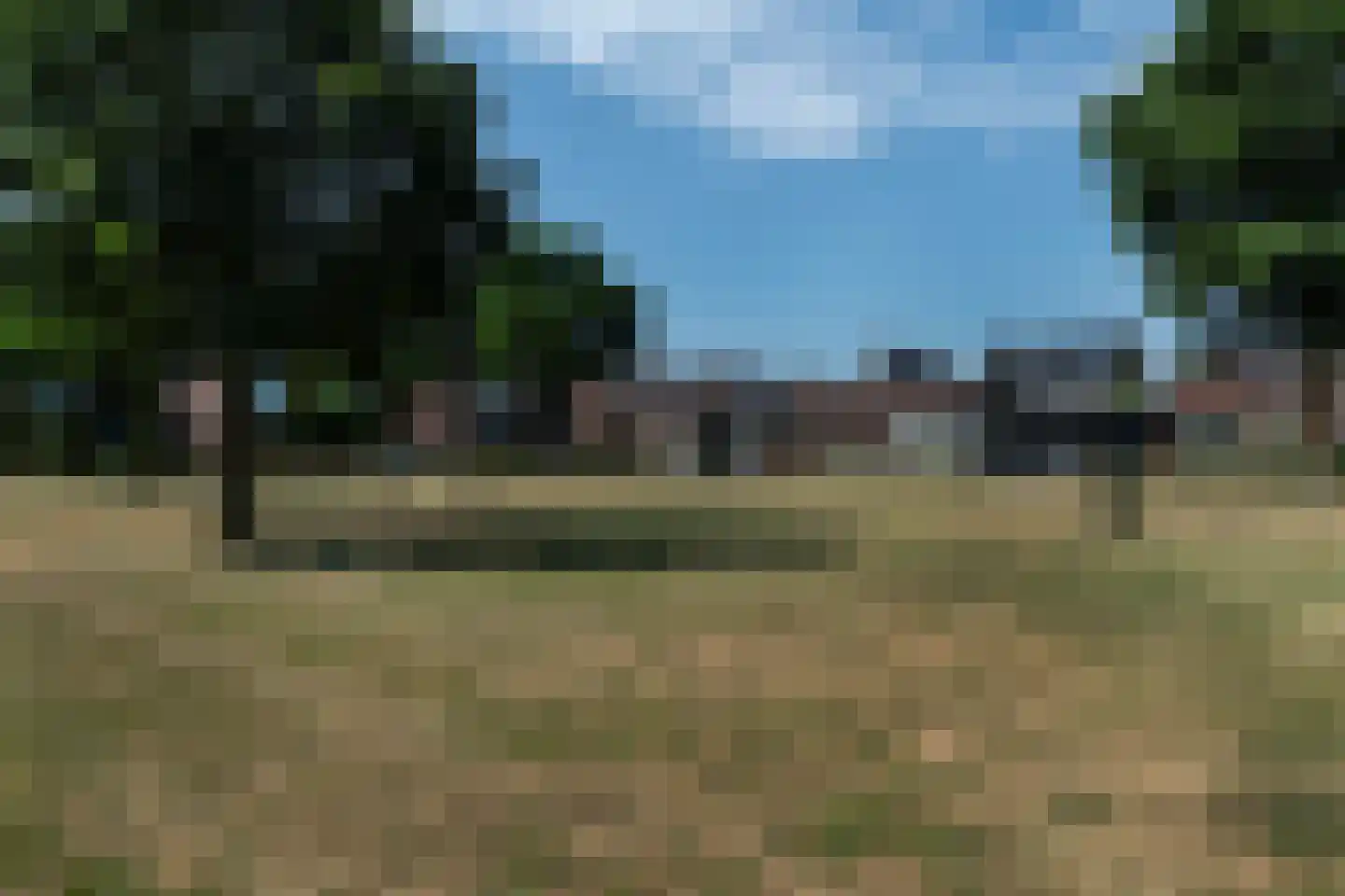 Schelling 15 Uden thumbnail 35