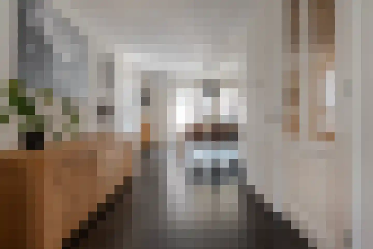 Schelling 15 Uden thumbnail 8