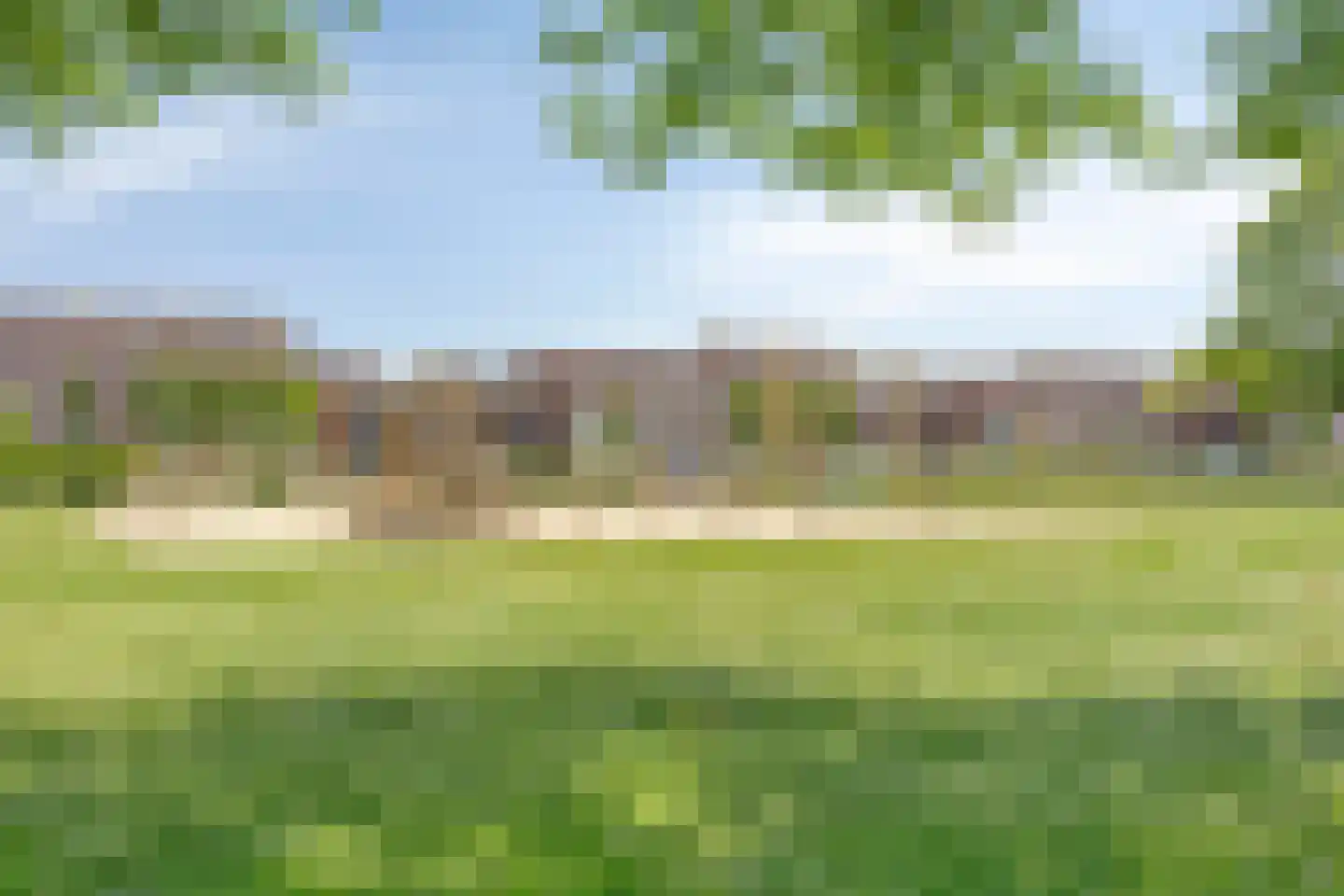 Schelling 19 Uden thumbnail 26