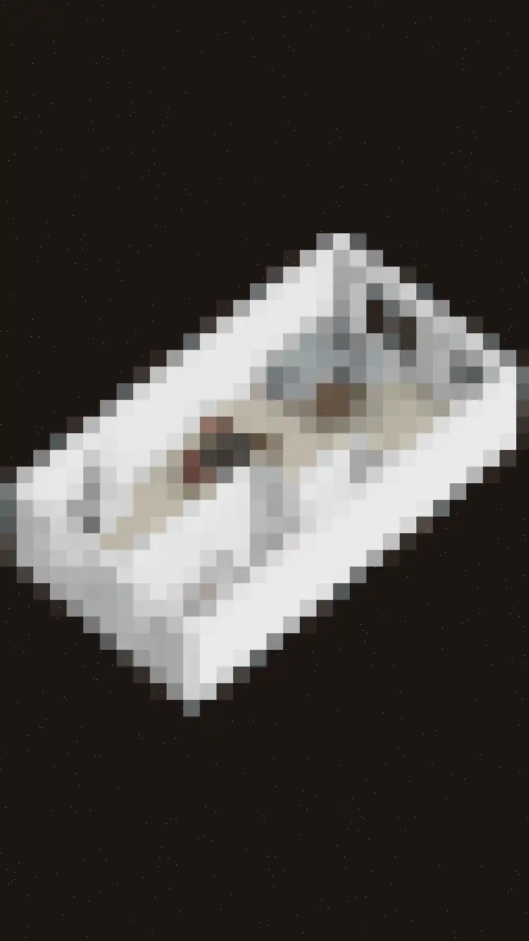 Schelling 19 Uden thumbnail 37