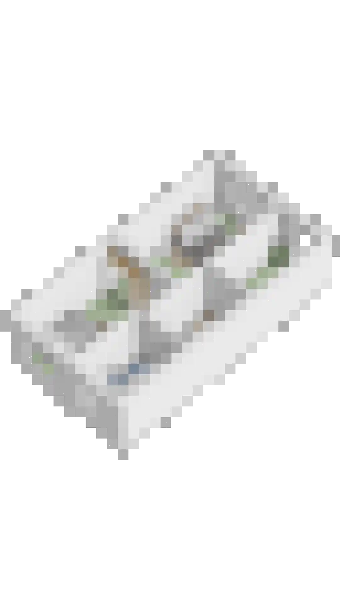 Schelling 19 Uden thumbnail 38