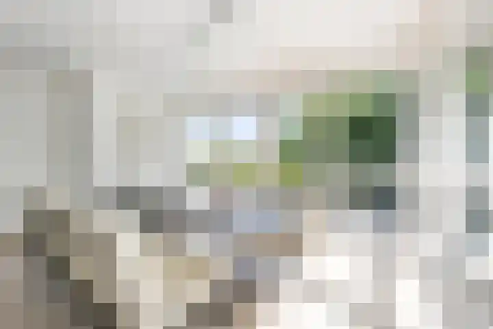 Schelling 20 Herkenbosch thumbnail 11