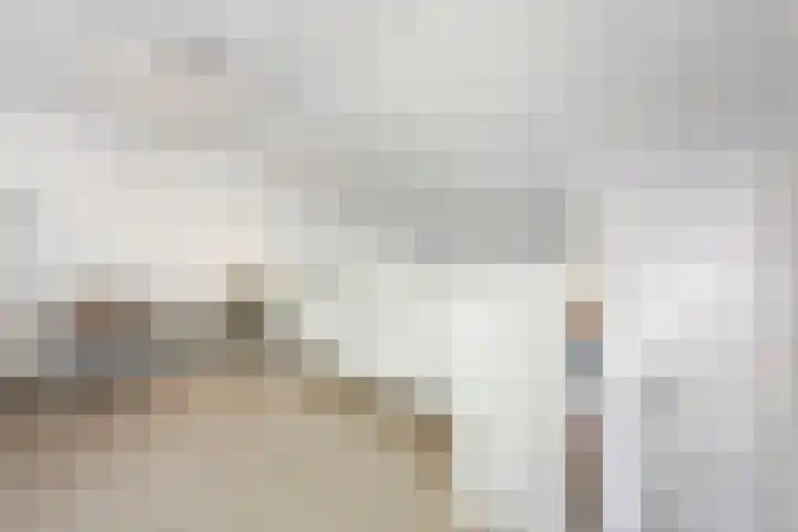 Schelling 20 Herkenbosch thumbnail 15