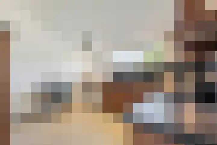 Schelling 20 Herkenbosch thumbnail 16