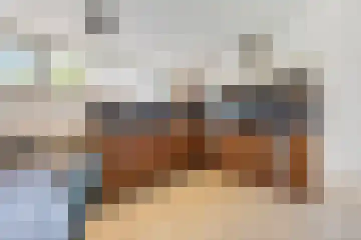 Schelling 20 Herkenbosch thumbnail 17