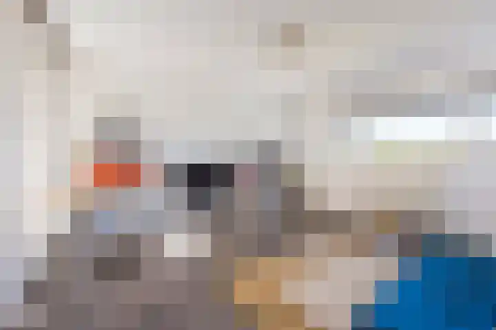 Schelling 20 Herkenbosch thumbnail 19