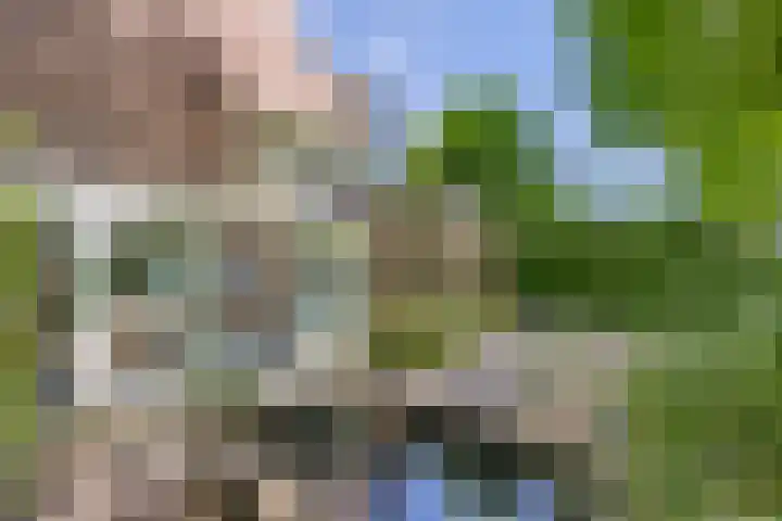 Schelling 20 Herkenbosch foto 2